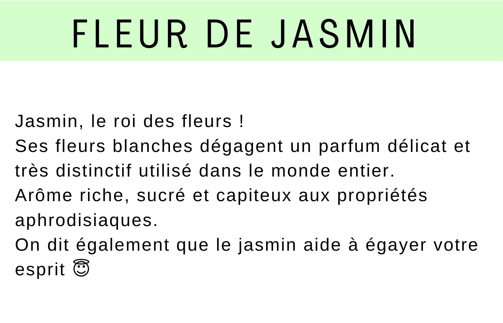 jasmin