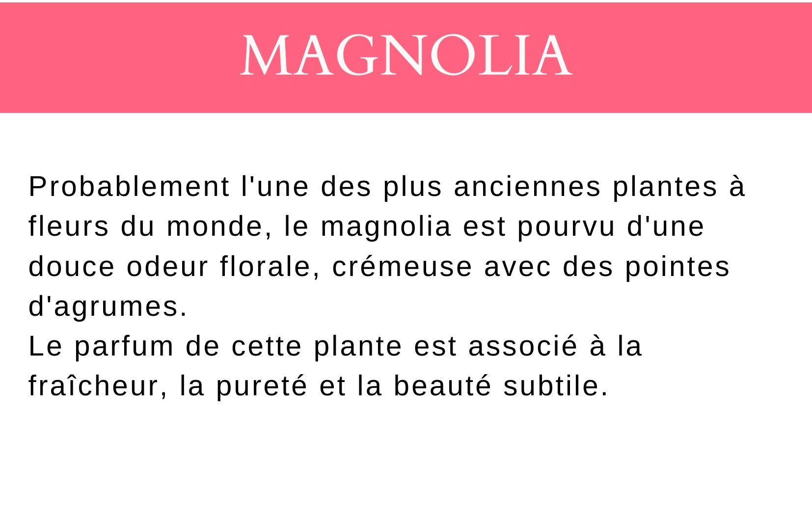 Description parfum magnolia