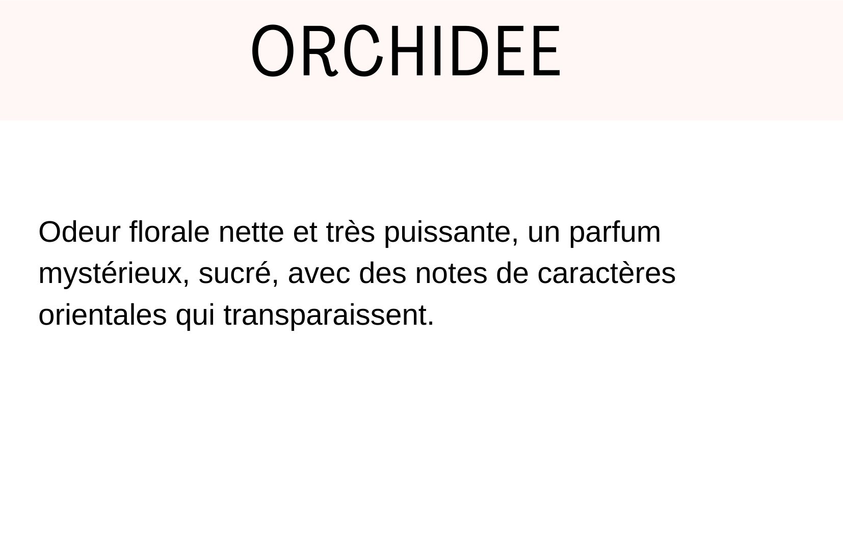 orchidee fragrance description