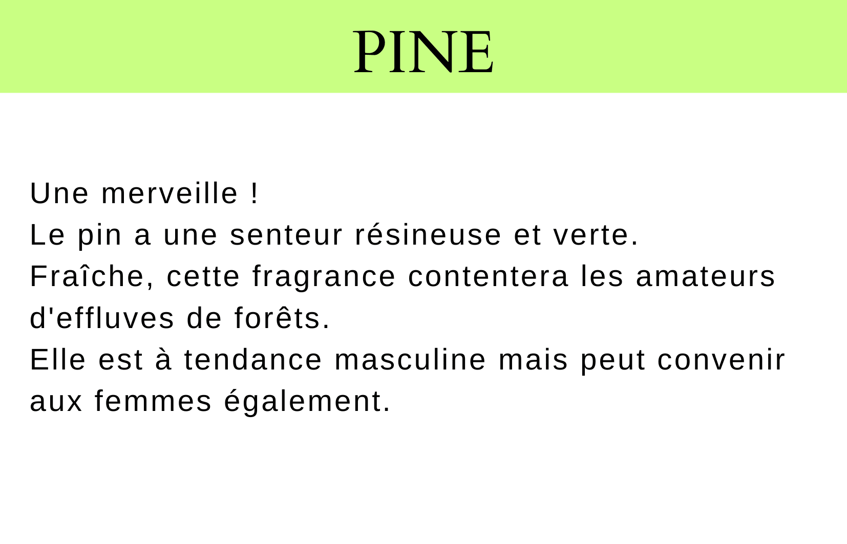 Pine Fragrance