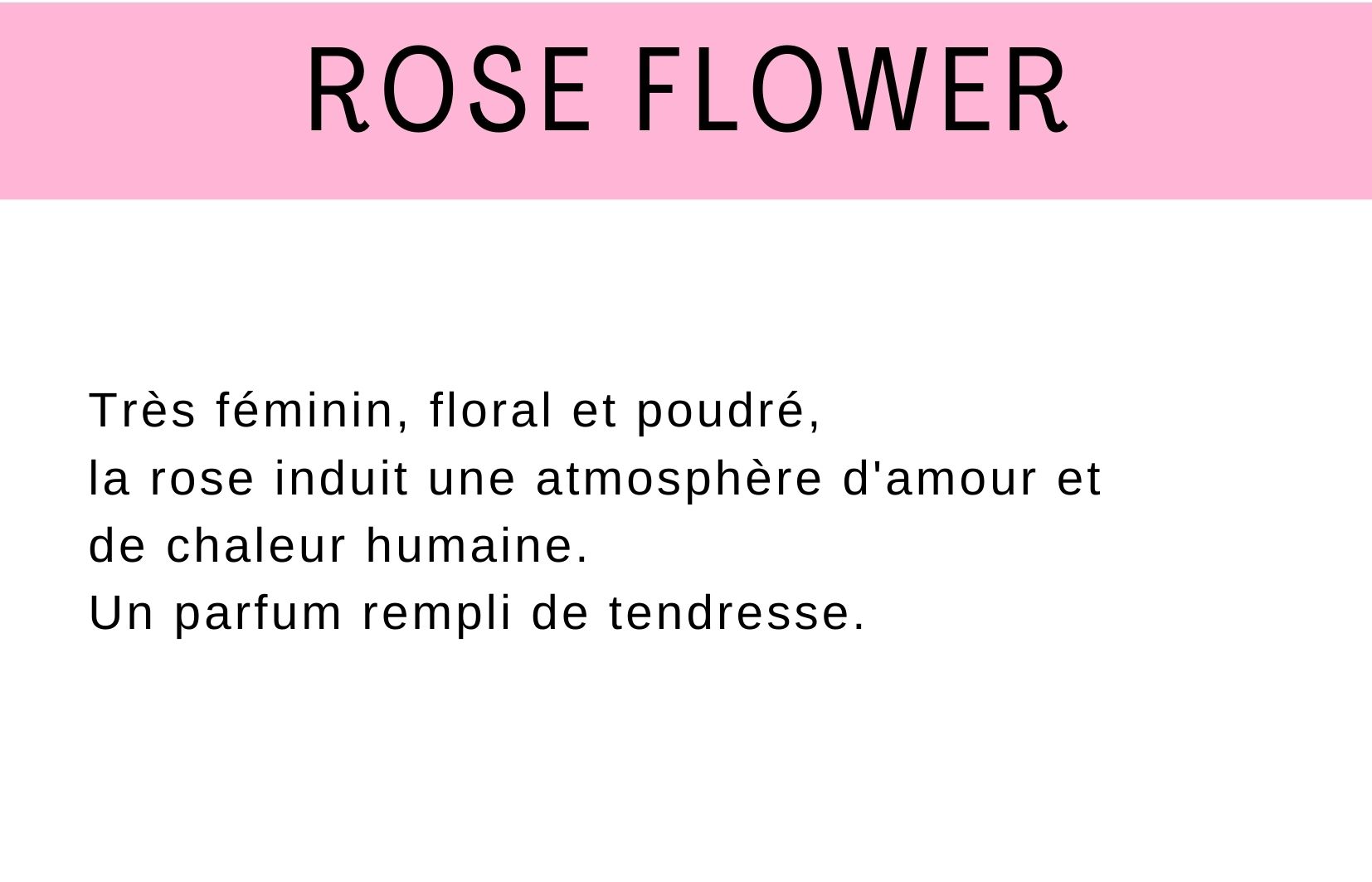 rose flowers parfum